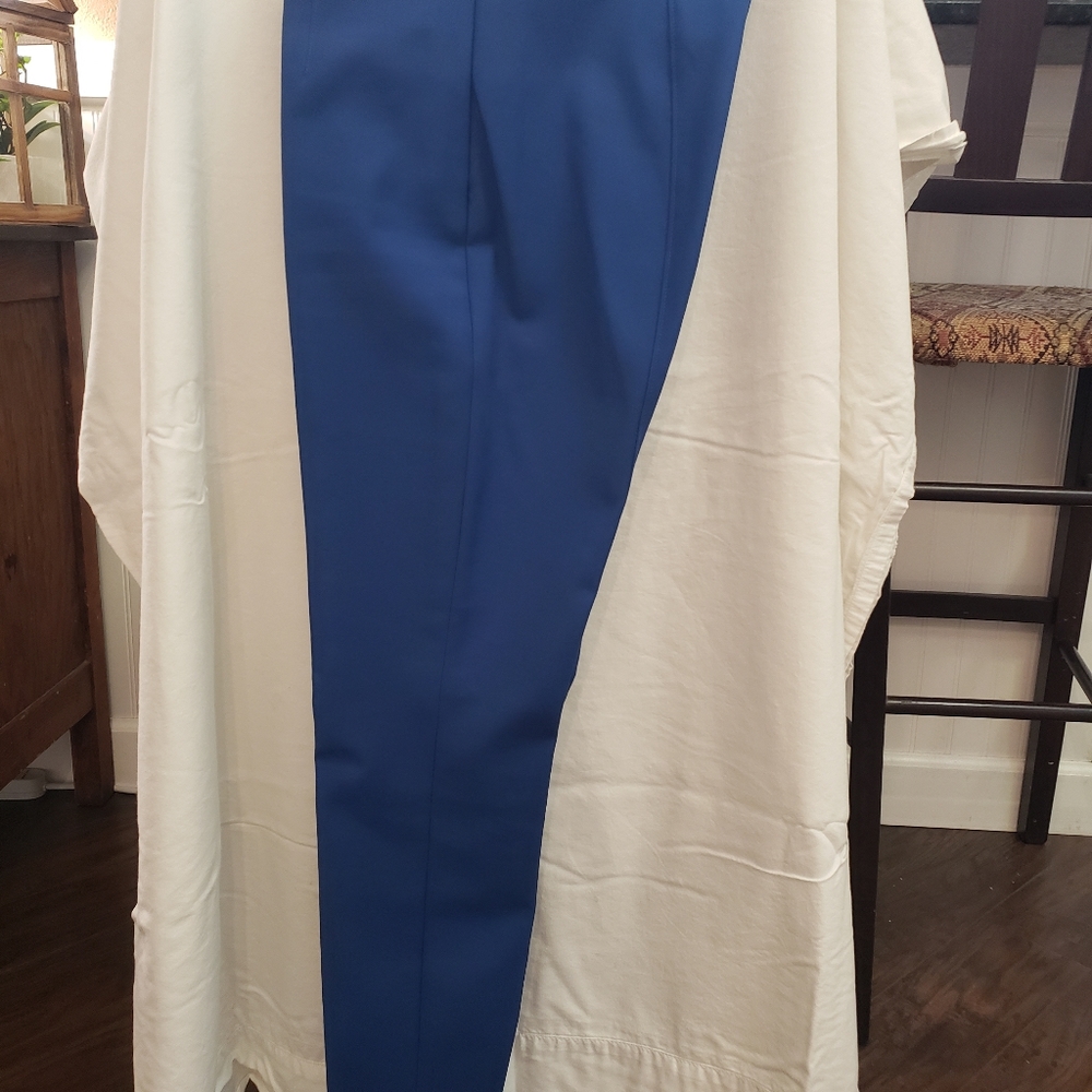WHBM skinny ankle side zip pants.  Size 2.